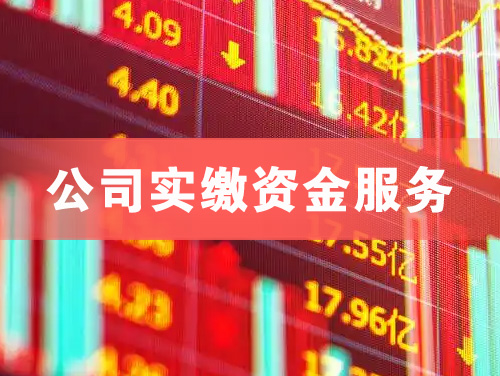 资兴公司实缴资金服务